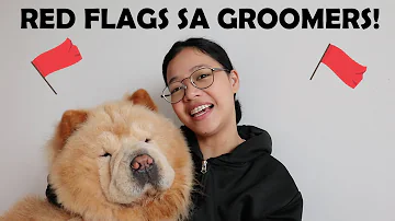 Tips in looking for a PET GROOMER plus RED FLAGS you need to take note! (Vlog#87)