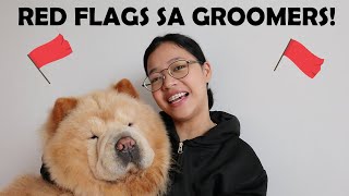 Tips in looking for a PET GROOMER plus RED FLAGS you need to take note! (Vlog#87) by funneimom 1,221 views 1 year ago 10 minutes, 57 seconds