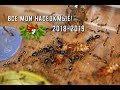 ВСЕ мои НАСЕКОМЫЕ и не только! 2018-2019 год!