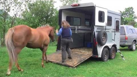 Positive Training for Horse Trailer Loading
