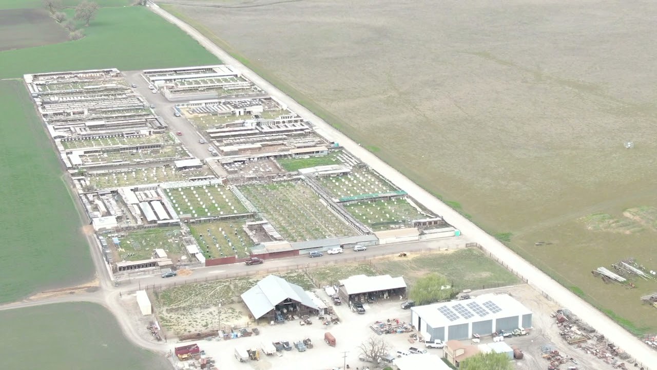 Animal Wellness Action drone footage of a massive gamecock breeding operation in California.