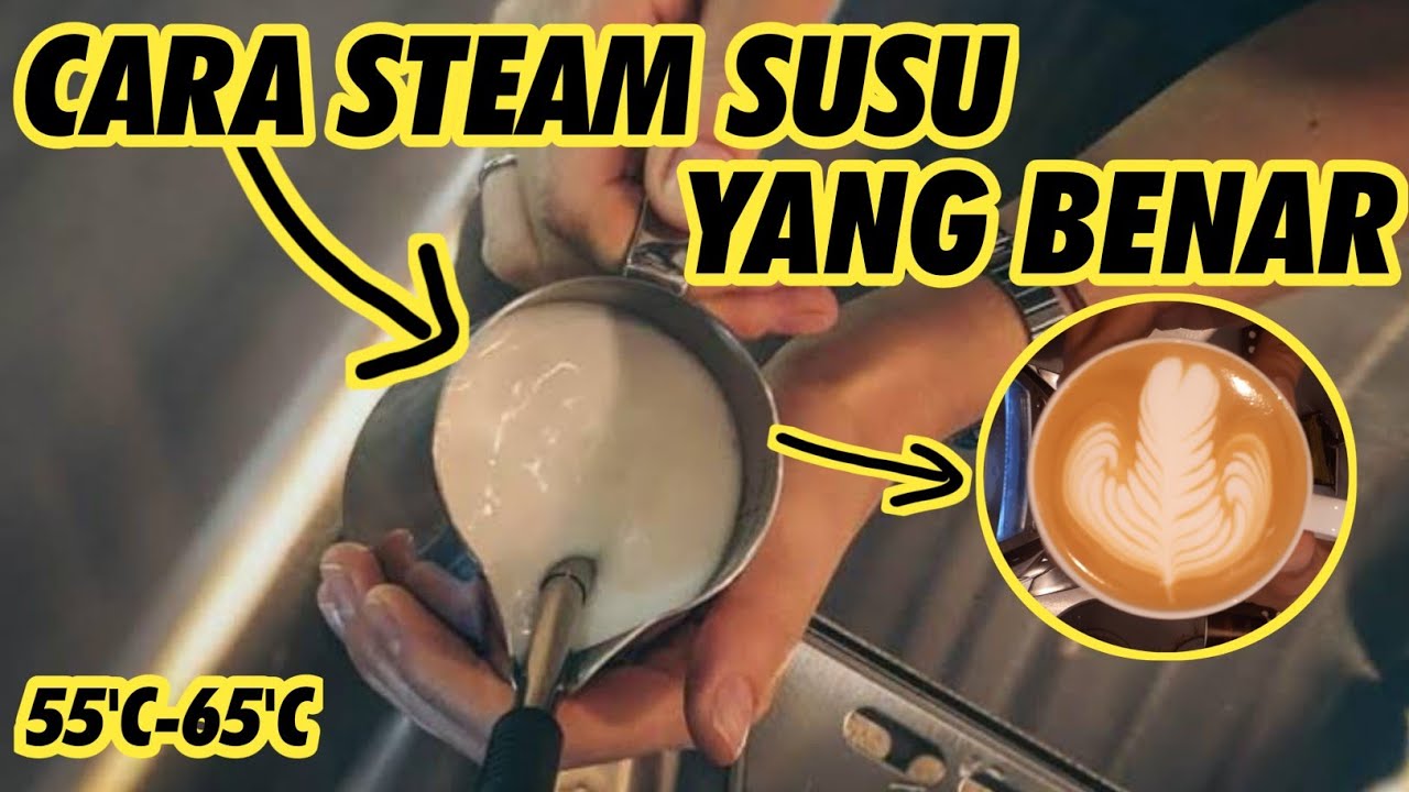 Tutorial Steam Milk Yang Benar Untuk Latte Art YouTube
