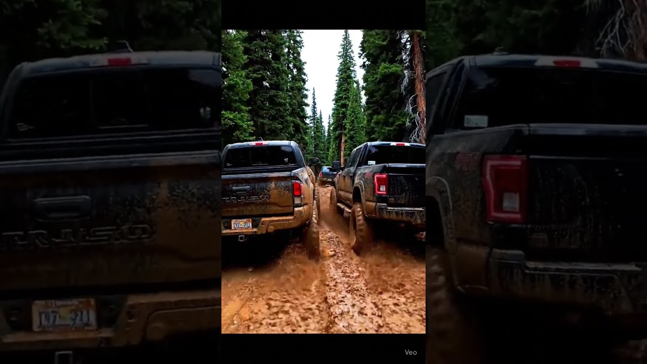 Youtube Shorts Share healthy cars go all the way 