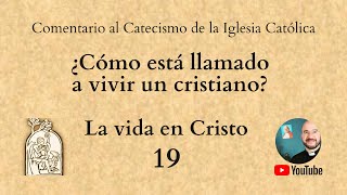Comentando el Catecismo: La vida en Cristo. N° 1767-1769