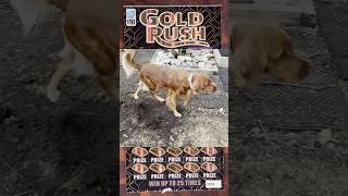 Scratch Lotto - Gold Rush Supreme