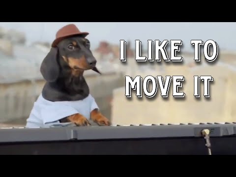 I LIKE TO MOVE IT (INDY ROZTAN BOOTLEG)