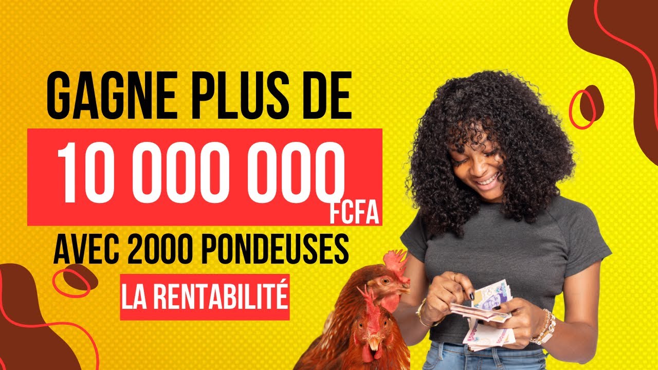 Gagne plus de 10 millions avec 2000 poules pondeuses