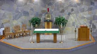 The Perfect Prayer: What the Leper Teaches Us About Asking God for Healing