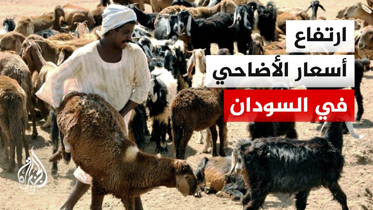 ������ ������� ��� ���� ������� �� �������.. �� ����ɿ
 - نشر قبل 51 دقيقة