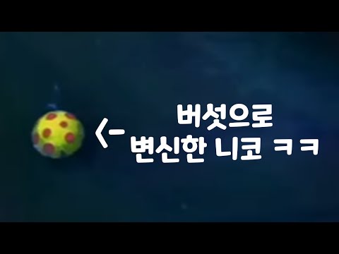 <strong>버섯</strong> 와드 <strong>식물</strong> 전부 가능 zzz