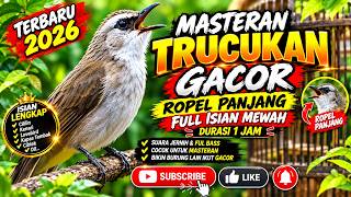 MASTERAN TRUCUKAN GACOR ROPEL PANJANG FULL ISIAN TERBARU 2026 | PANCINGAN AGAR BUNYI | DURASI 1 JAM