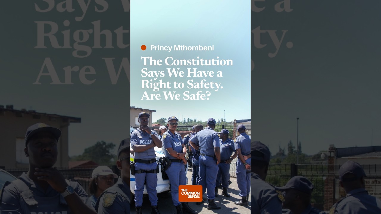 The Constitution Says We Have a Right to Safety. Are We Safe?
