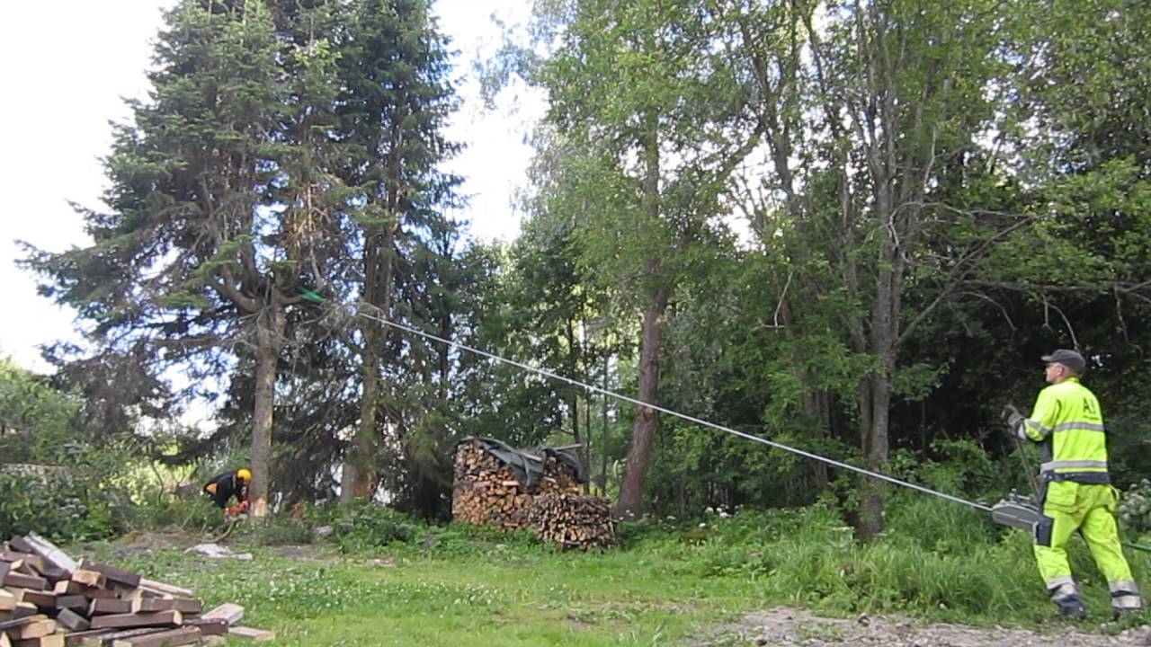 Pihakuusien pihapuiden kaadot stalpen lompakkotalja Stalpen kaadonsuuntaaja käteisellä 044-3380291