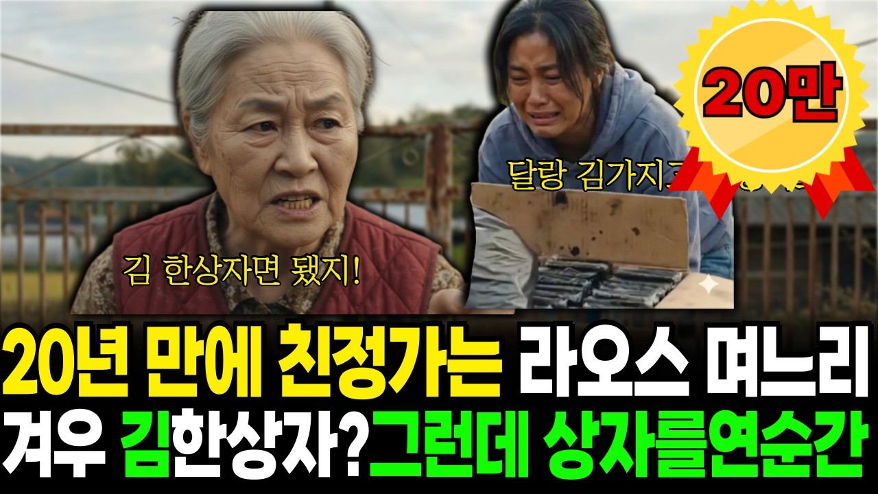 20년 만에 친정가는 라오스 며느리, 달랑 김 한상자? 그런데 상자속에 놀라운 비밀이사연 오디오북 | 감동사연