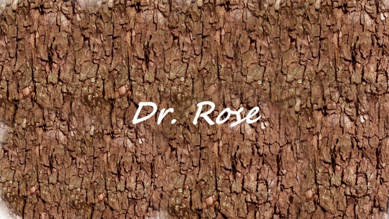 NORMA BASALIS PART 1