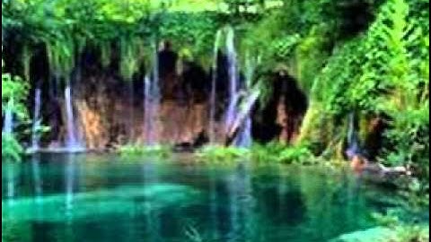 سورة نوح.القارئ عيسى أبوعمر سناكوا