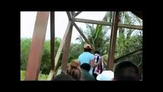 Estero el salado, puerto vallarta