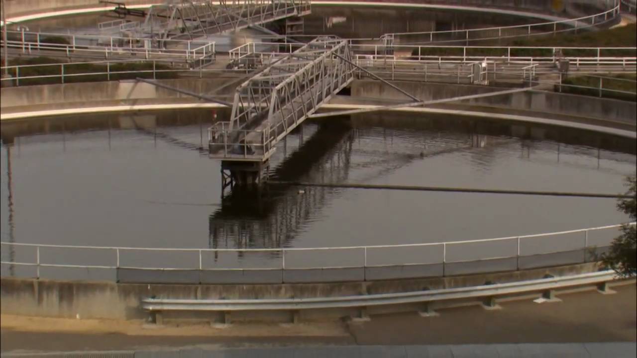 Wastewater Woes: Sewage Spills in SF Bay - KQED QUEST