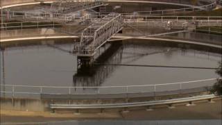 Wastewater Woes: Sewage Spills in SF Bay - KQED QUEST