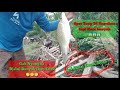 Gak Nyangka!!! Spot ini banyak ikan enaknya