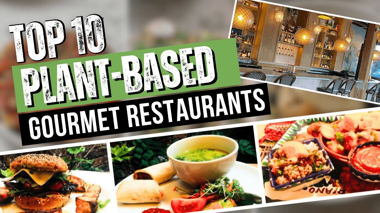 Top 10 Gourmet Restaurants Offering Plant Based Luxury Food Luxe Life