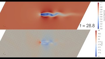 Immersed Boundary Discontinuous Galerkin Simulation of Flow Past a Cylinder at Re=100