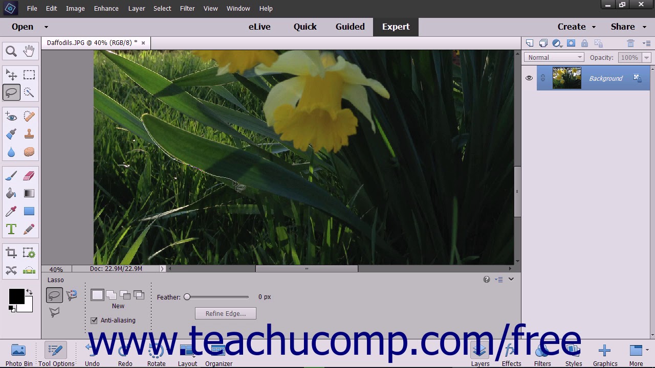 Photoshop Elements 2018 Tutorial The Lasso Tools Adobe Training - YouTube