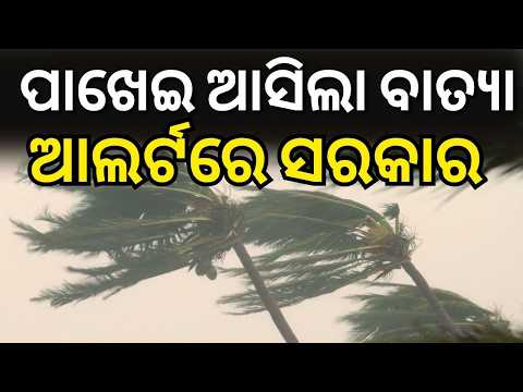 ପାଖେଇ ଆସିଲା ବାତ୍ୟା ..Cyclone News | Typhoon Dolphin Threatens Eastern China | N18G