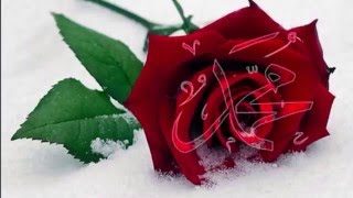 Zabıta Baba (R.a) - Ses Kaydı - Büyük Cihat