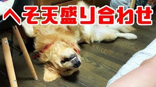 へそ天盛り合わせ