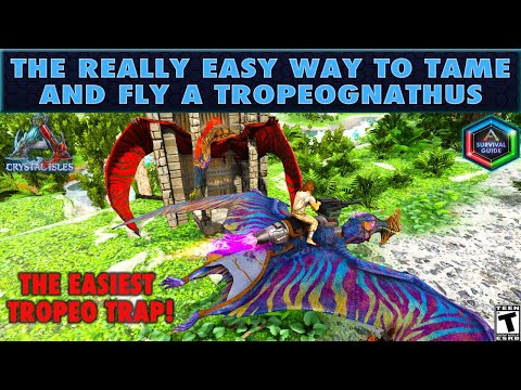 Comment dompter un Tropeognathus le vraiment Easy Way