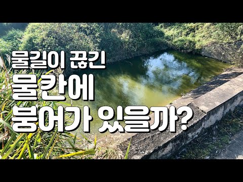 <strong>소물낚시</strong>, 물길이 끊겨 고립된 물칸에 붕어가 있을까?