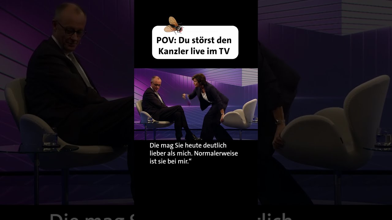 Fliege Rgert Bundeskanzler Merz Maischberger