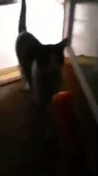 Pussy Gagging on Popsicle 1