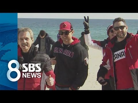 올림픽 보고 한국도 즐기고…평창 찾은 외국인 "좋아요" / SBS
