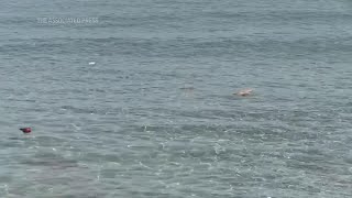 Migrants killed as boat sinks off Libya coast