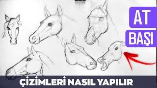 KOLAY KARAKALEM AT ÇİZİMLERİ - Basit Ve Etkileyici Çizimler!