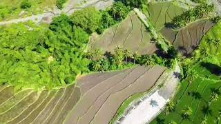 Antique Rice Terraces - Barbaza 