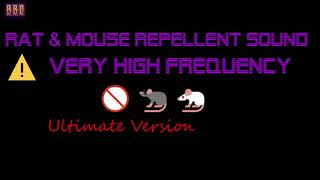 ⚠️(Ultimate Version) 🚫🐀🐁 Rat & Mouse Repellent Sound Very High Frequency (3 Hour)