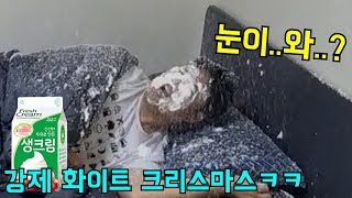 생크림으로 화이트 크리스마스 만들어주기ㅋㅋ screenshot 3