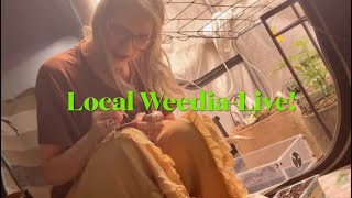 Local Weedia is live!