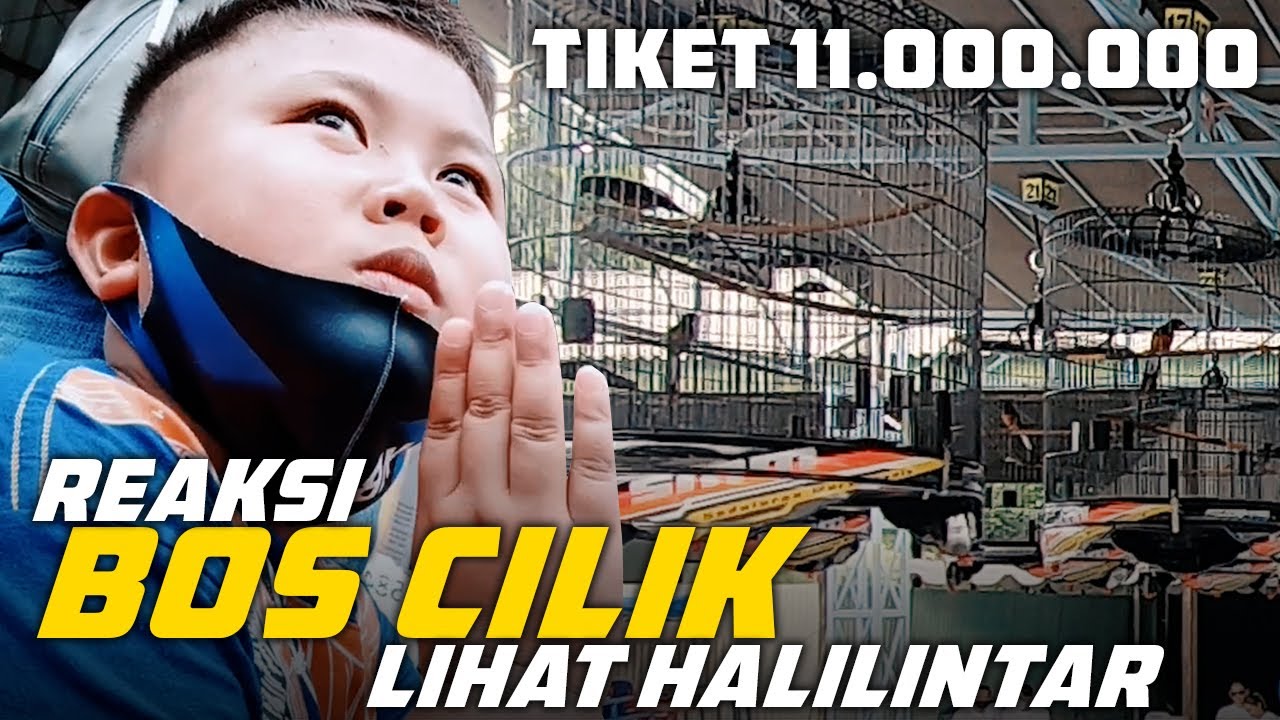 SMM feat 911 SF #5: Reaksi Bos Cilik Mengejutkan Halilintar Nembak Panjang | Tiket 11.000.000