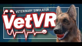 VetVR Veterinary Simulator (Early Access) - Full Review - Rating 5.5/10