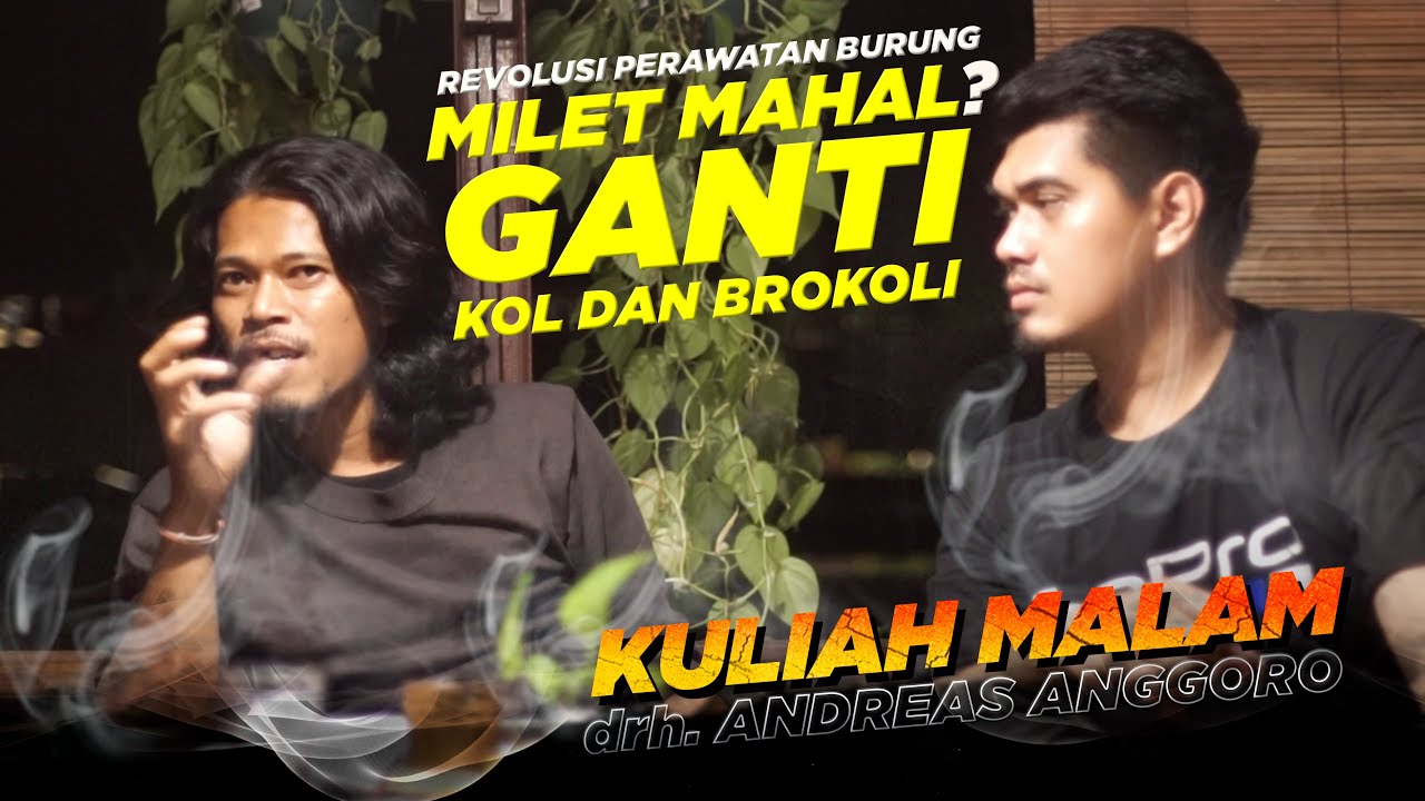 ВЕЧЕРНЯЯ ЛЕКЦИЯ №2 👑ПШЕНО — ДОРОГО? Замените им капусту и брокколи. Вот преимущества, по словам в...