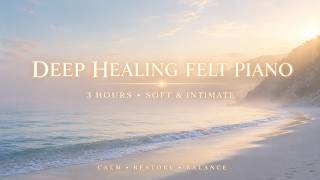 3 Hour Meditation Music | Soft Felt Piano & Quiet Nature | Deep Healing & Calm screenshot 4
