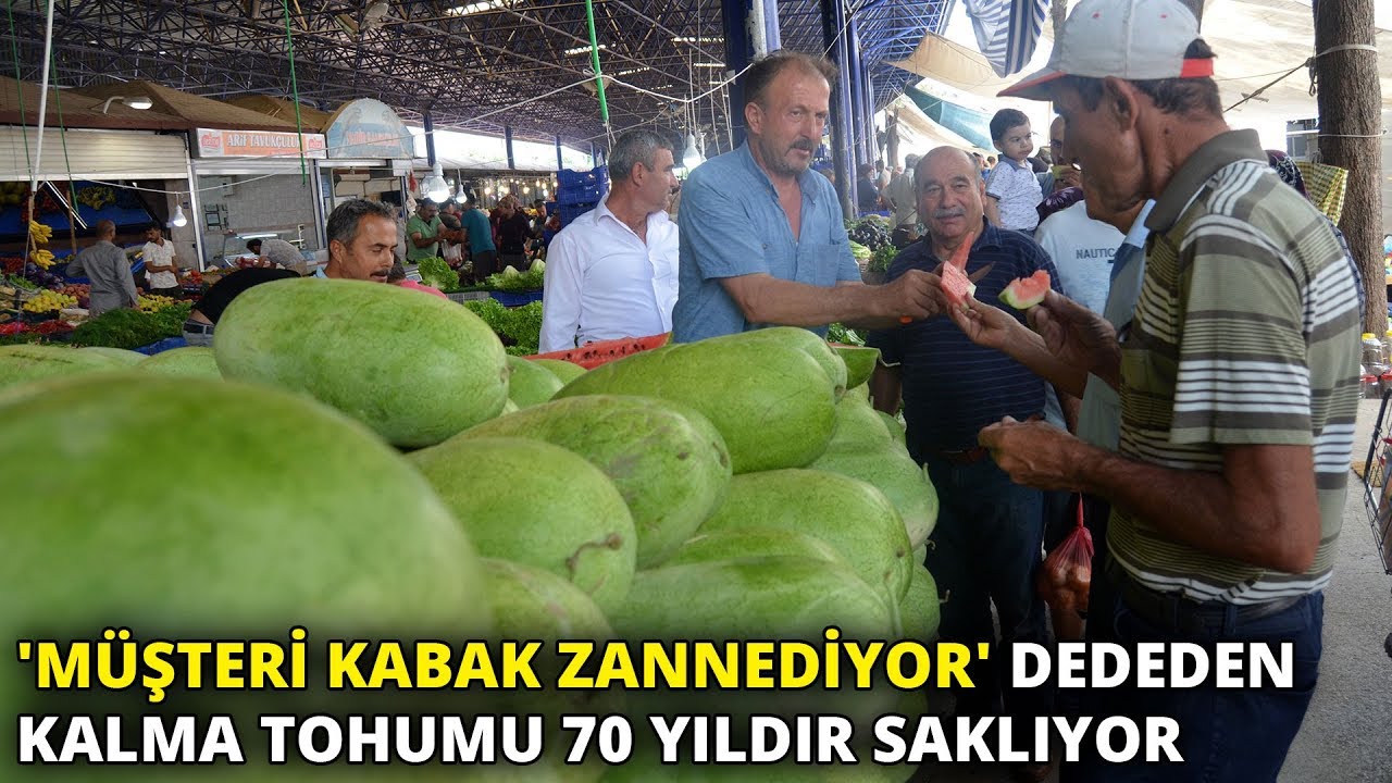 'Müşteri kabak zannediyor' Dededen kalma tohumu 70 yıldır saklıyor