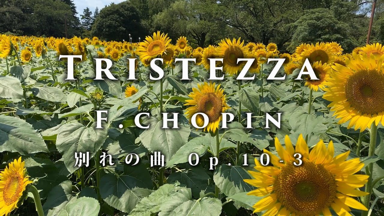 もっと世界に音楽を】Tristezza（悲しみ）／ ショパン 別れの曲【イル