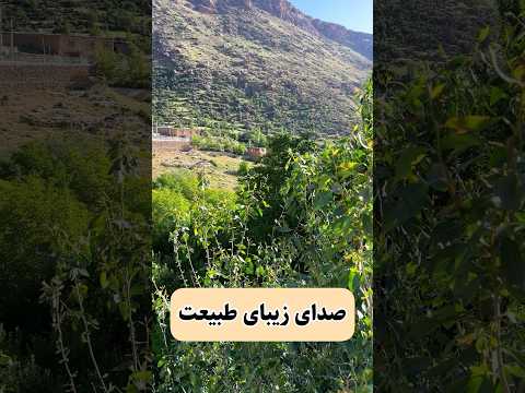 روستای خفر منطقه پادنا سمیرم استانداصفهان پرنده طبیعتگردی
