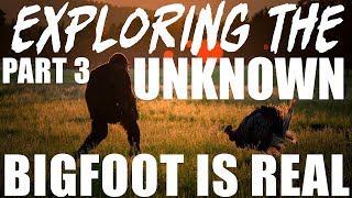 THE SEARCH FOR BIGFOOT CONTINUES | EXPLORING AREAS I HAVE NEVER BEEN TO BEFORE (PERFECT TREE BREAKS)