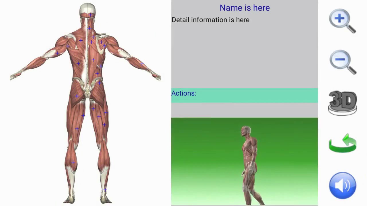 Visual Anatomy App Demo YouTube